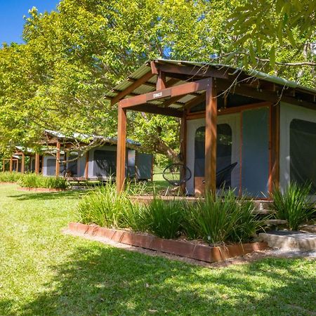 Noah Creek Eco Huts Villa Cape Tribulation Eksteriør bilde