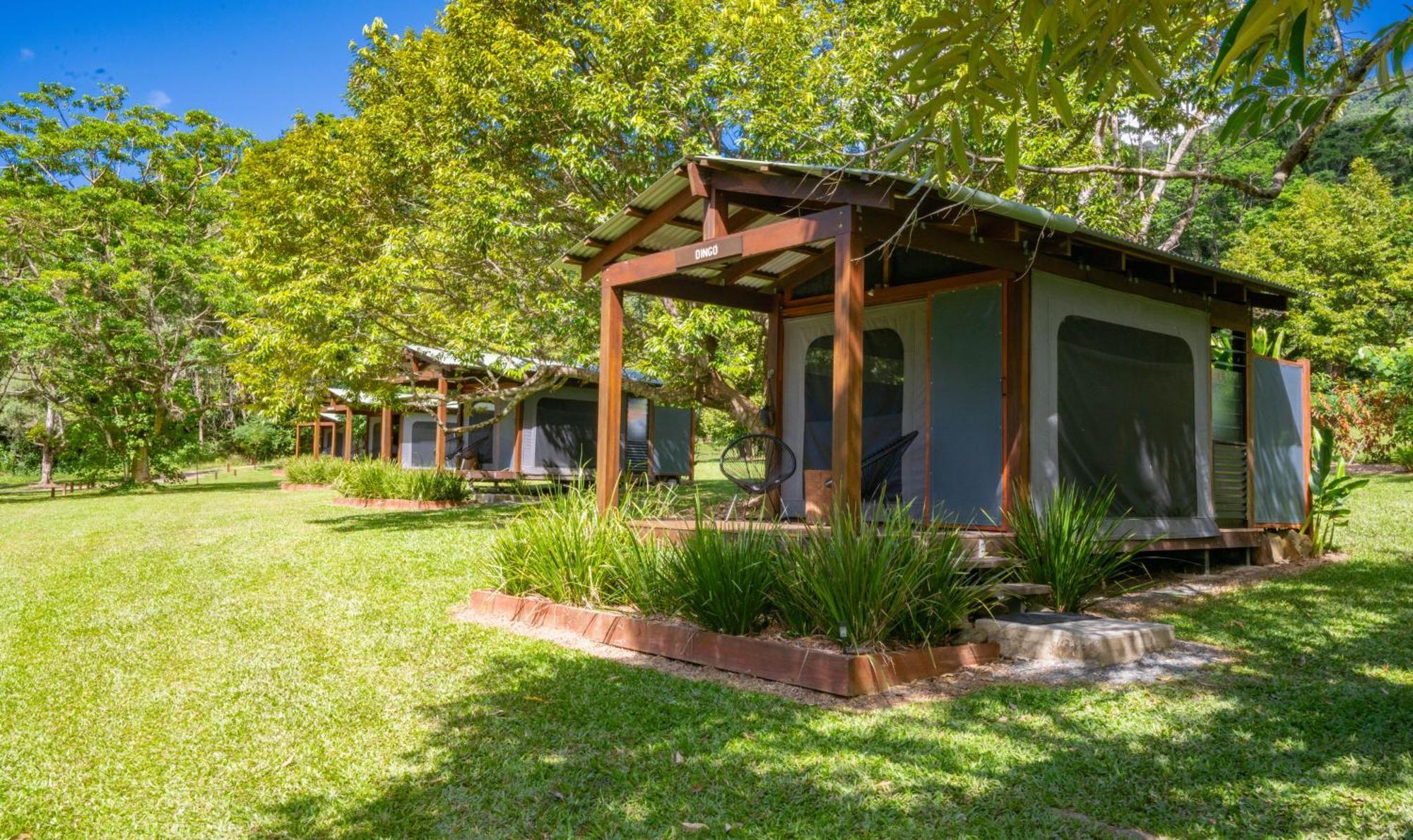Noah Creek Eco Huts Villa Cape Tribulation Eksteriør bilde